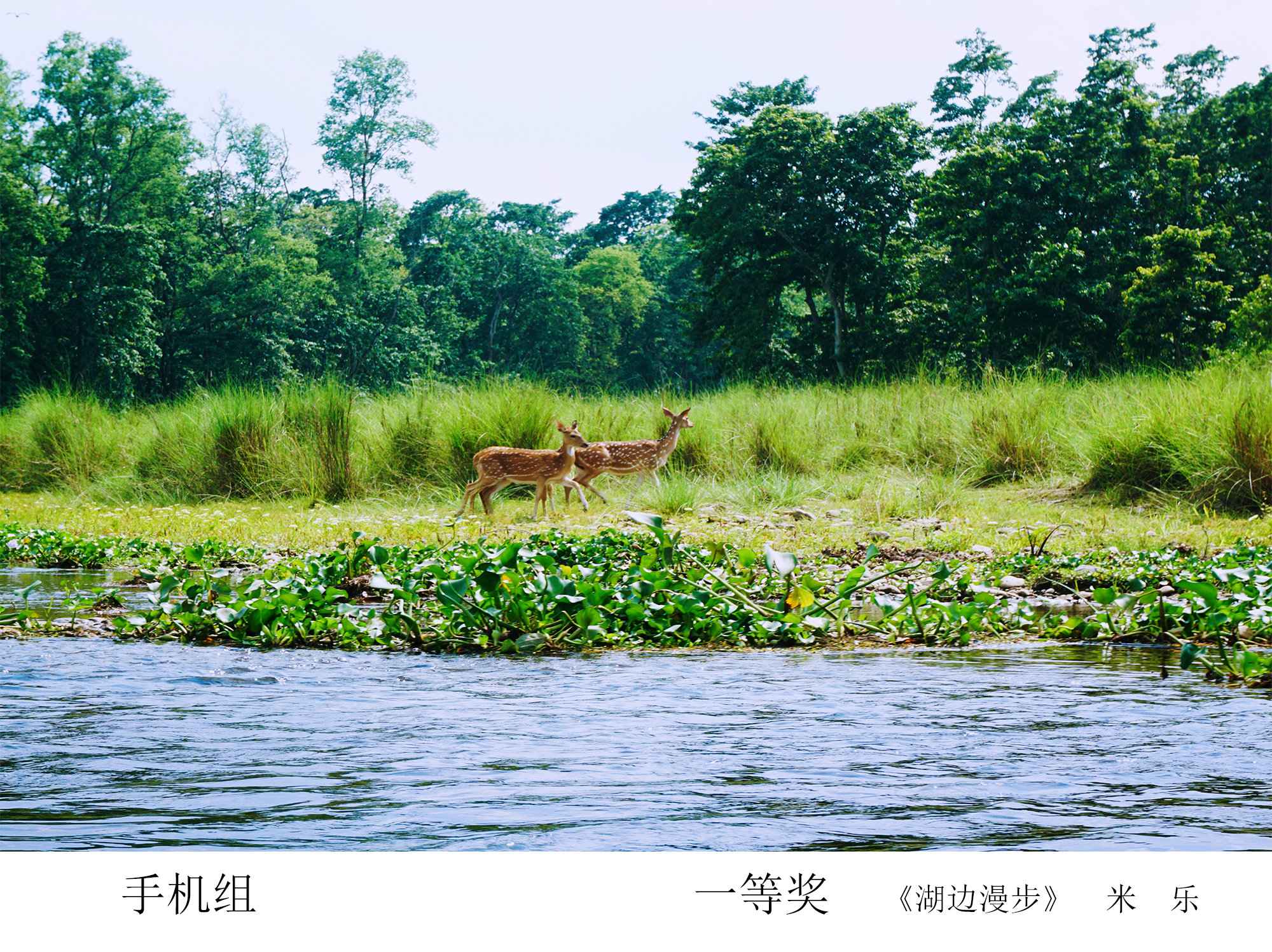 中国·太阳成城集团(tyc234cc·古天乐代言)品牌-OfficialPlatform