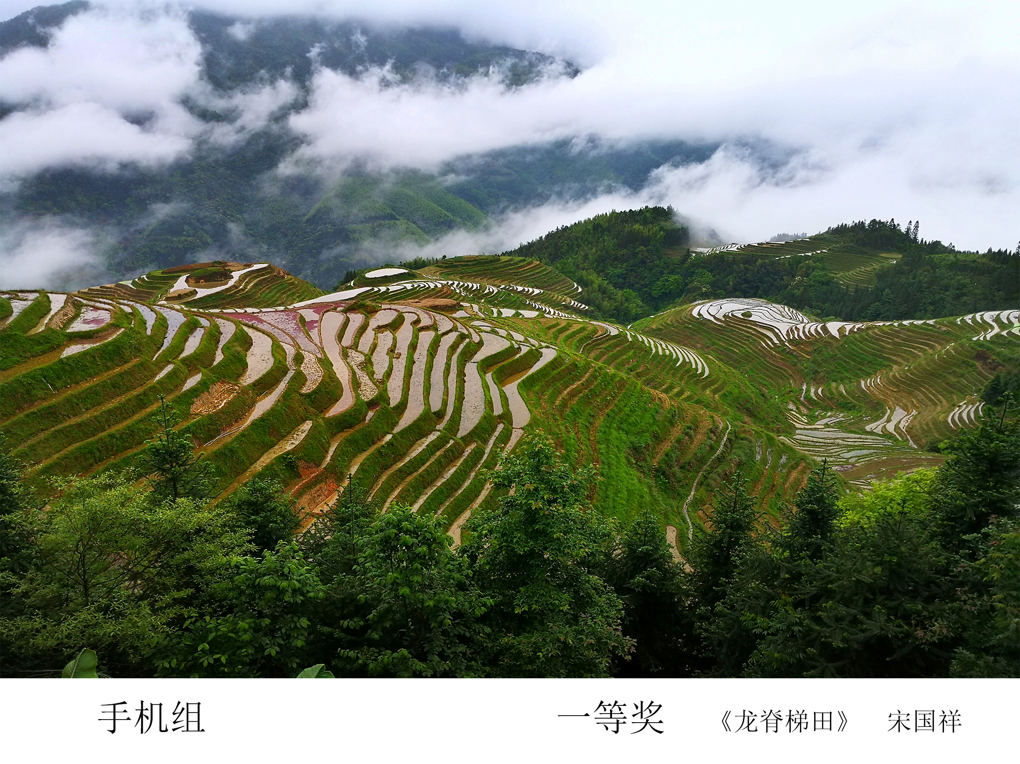 中国·太阳成城集团(tyc234cc·古天乐代言)品牌-OfficialPlatform